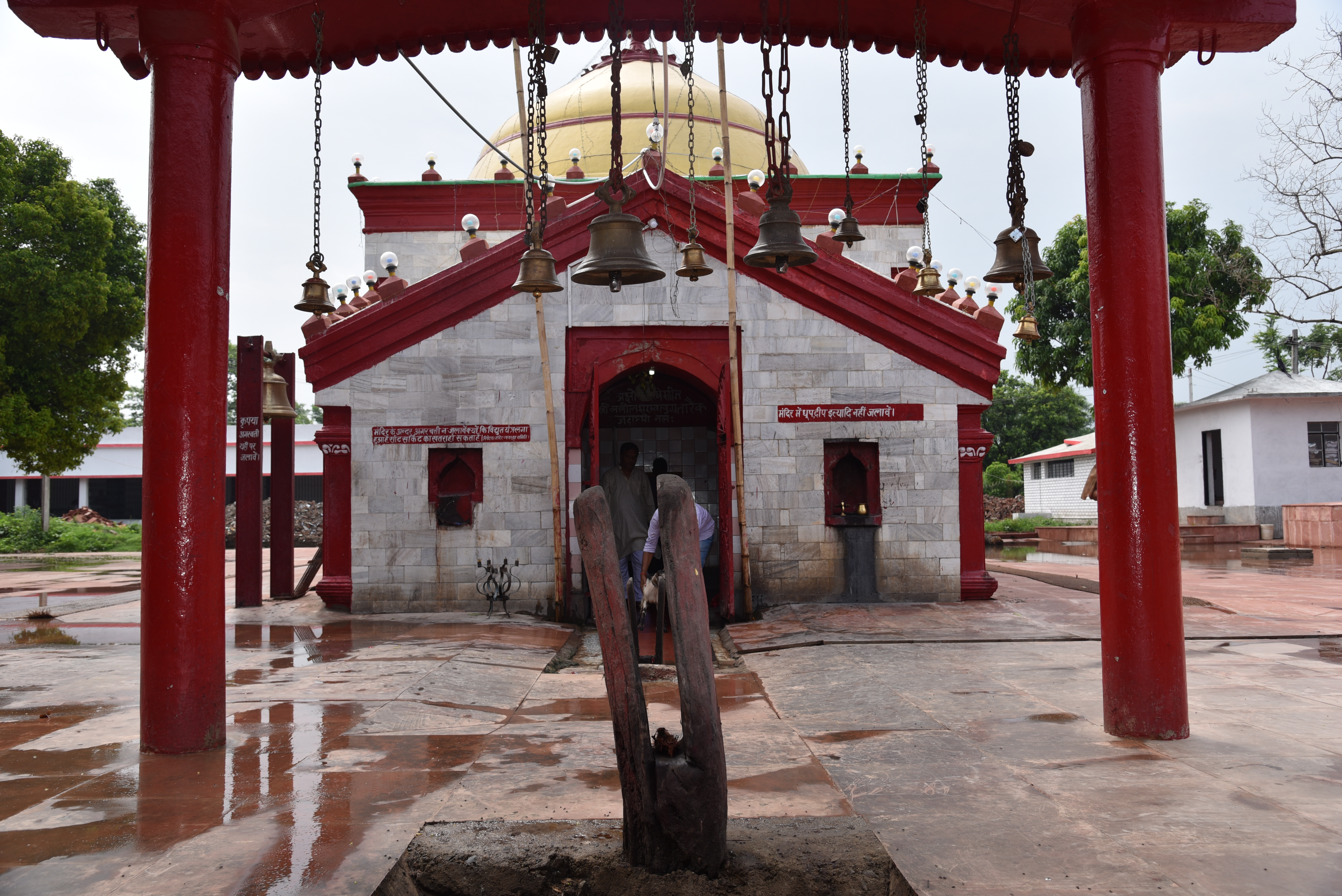 DSC_1784.JPG-1723115383657