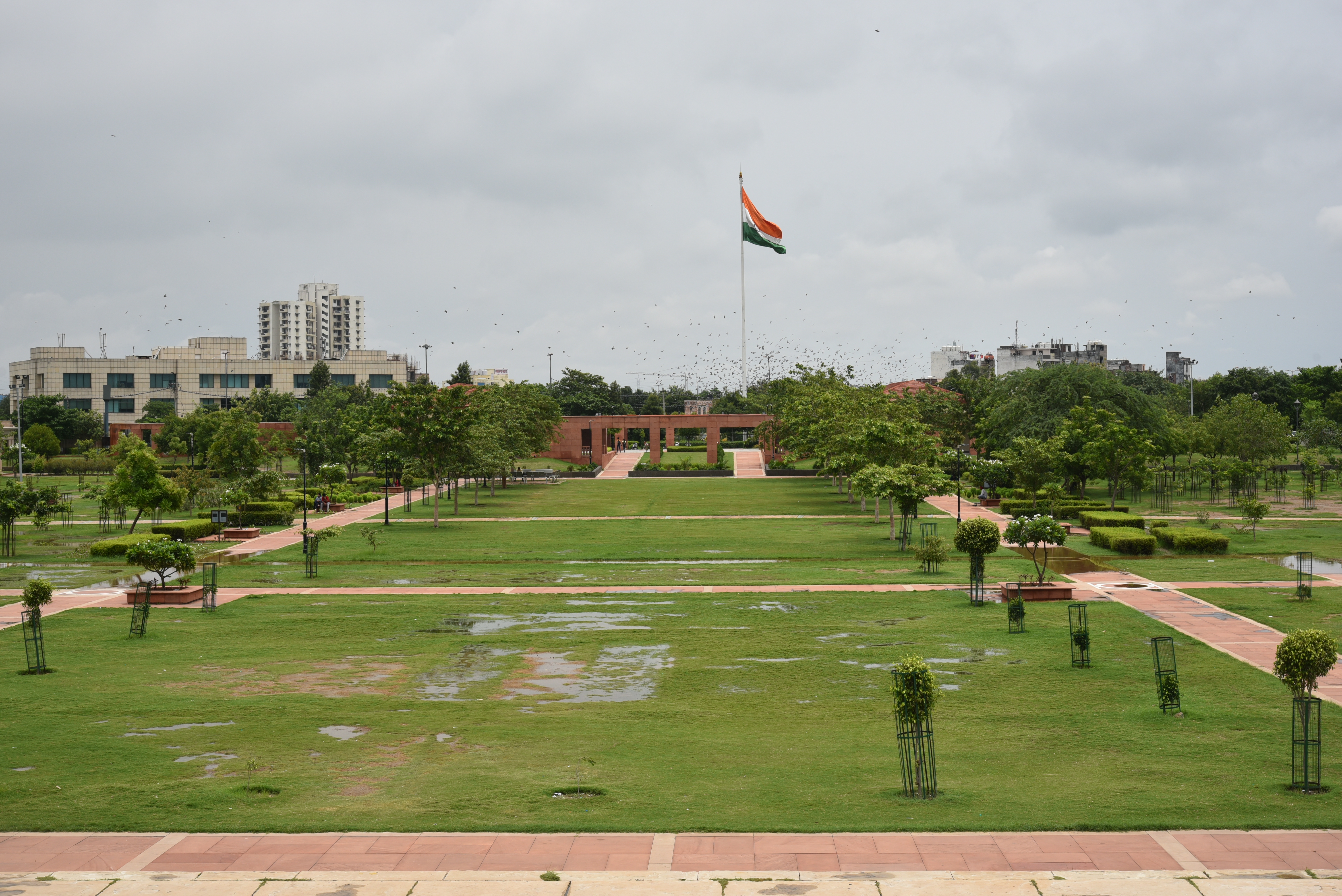 DSC_7065.JPG-1719464300501