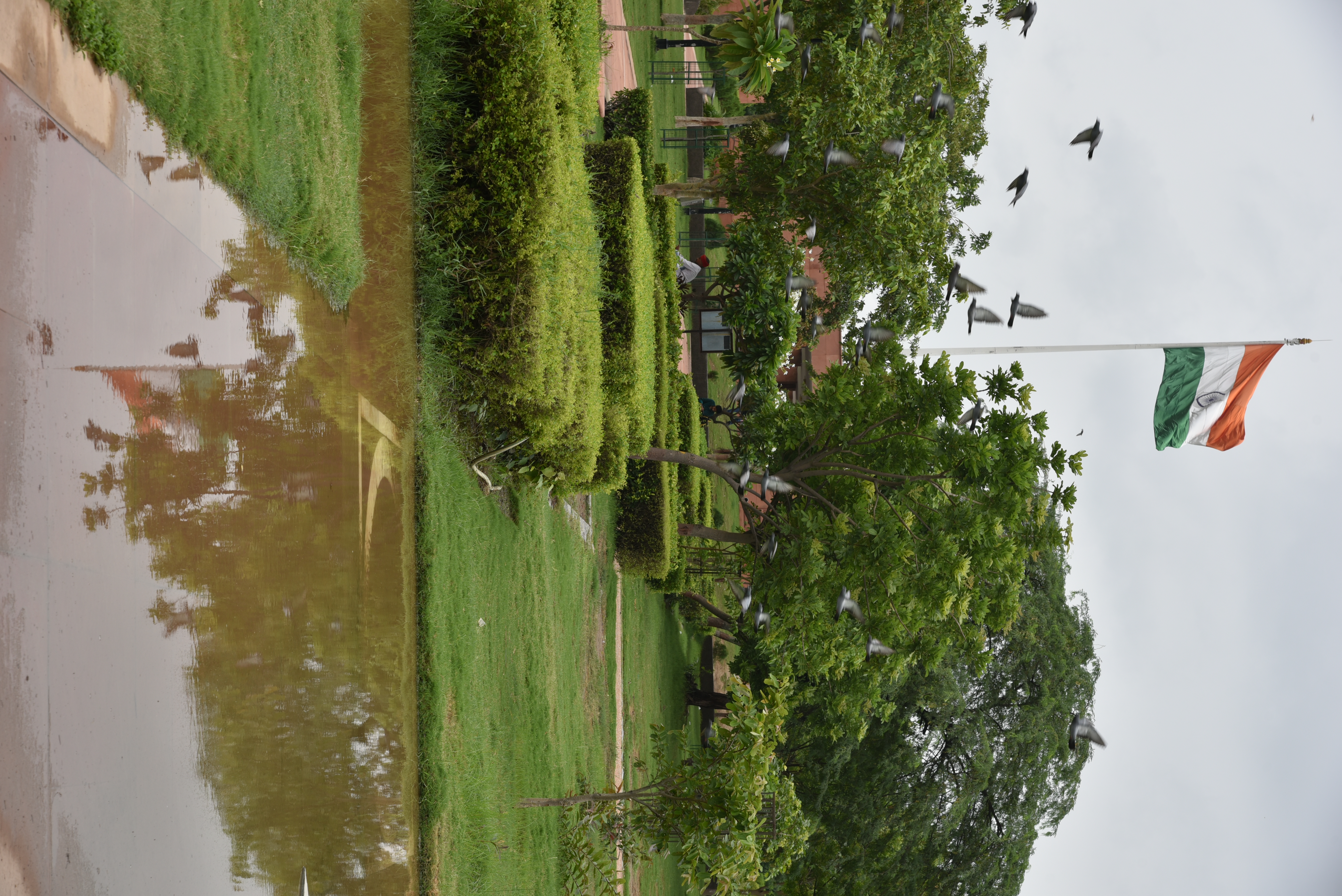 DSC_7074.JPG-1719464525446