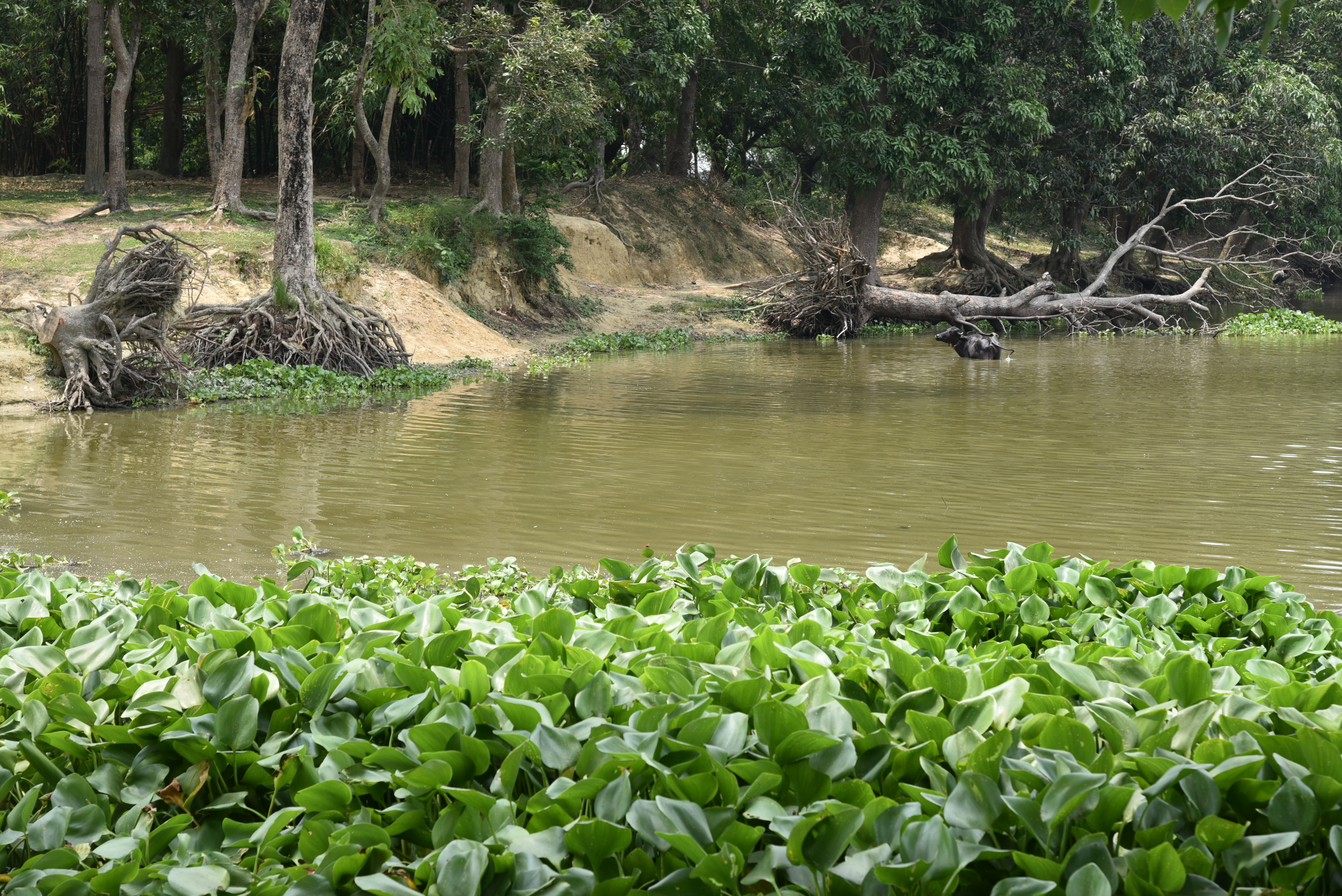 DSC_8970.JPG-1723115404791