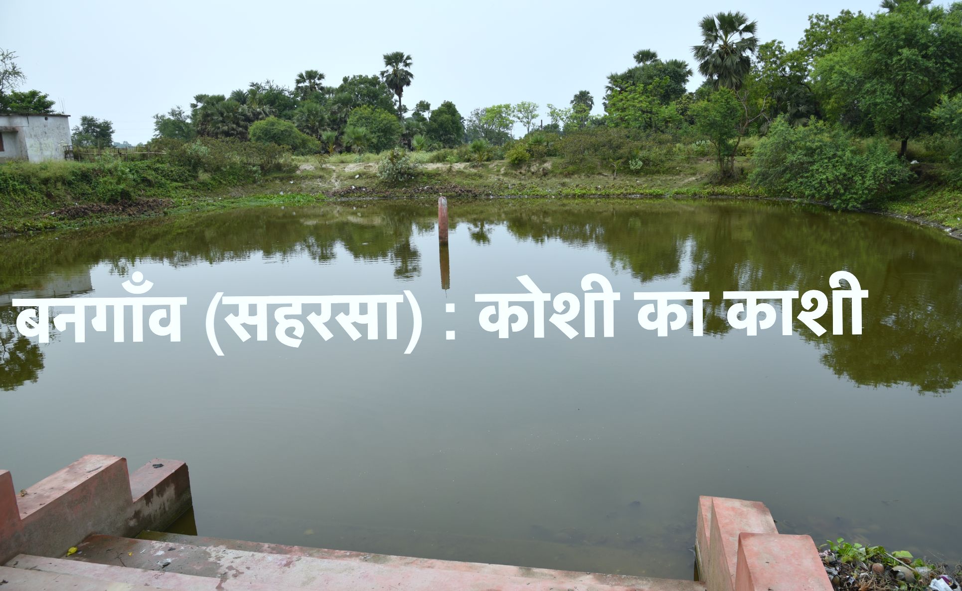 KOshi.jpg-1723115333912