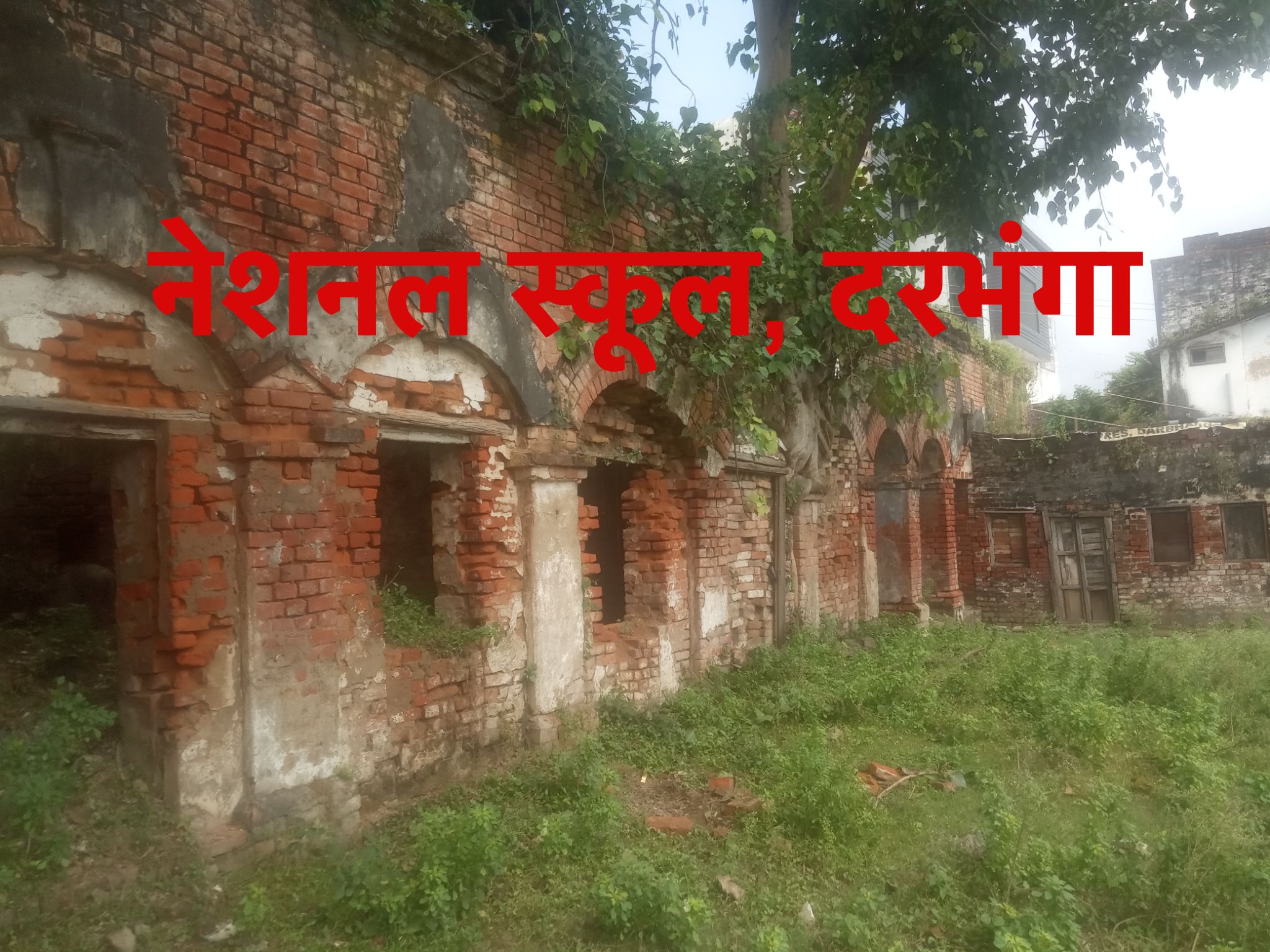 National-9.jpg-1715840278904