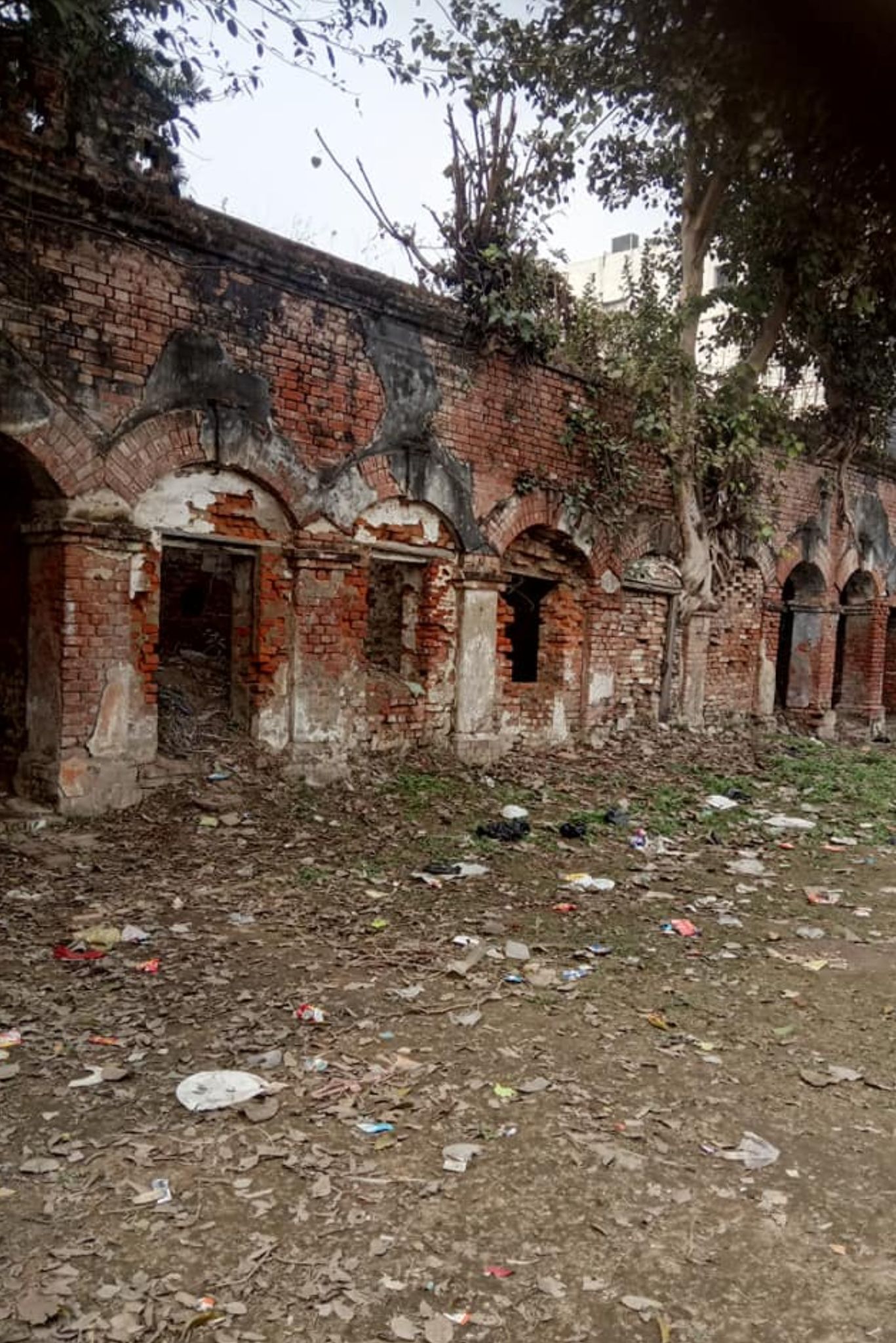 Nayional-1.jpg-1715840403587